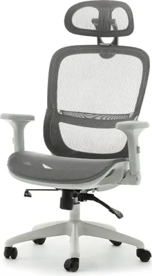 Image de Chaise pivotante RIONA - gris