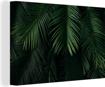 Produktbild von MuchoWow® - Leinwandbilder - Blätter - Tropisch - Muster - Jungen - Mädchen - Kinder - Kind, Wandbild, Wanddeko Bilder Wohnzimmer, 60x40cm