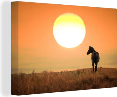 Produktbild von OneMillionCanvasses® - Leinwandbilder - 140x90 cm, Wildpferd auf der Wiese, Wandbilder Kunstdruck Wanddekoration