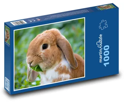 Obrázok produktu pre Puzzle 1000 Zajačik s Listom v Papuli - martinpuzzle