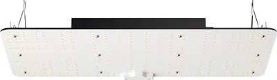 Produktbild von 200W Dimmbar Pflanzenlampe 30x60x7.7cm LED Pflanzenlampe 544x Samsung 281B Vollspektrum 26000lm Lichtstrom Wachstumslampe 760nm Infrarot-Wellenlänge Pflanzenlicht Gewächshaus Anbauzelt Balkon