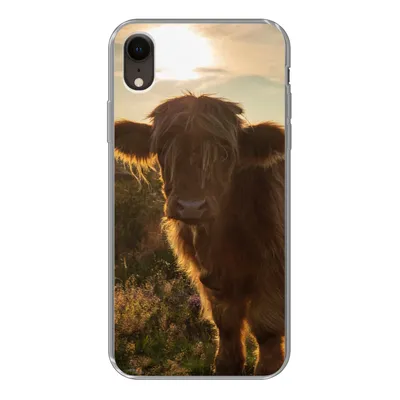 Produktbild von MuchoWow® Handyhülle Schutzhülle Hülle für iPhone XR Schottischer Highlander - Sonnenuntergang - Gras Silikon Softcase Handy Hülle - Schutzdeckel