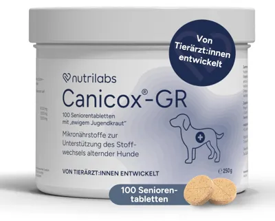 Produktbild von NutriLabs CANICOX GR Kautabletten für Hunde 100 Stück - Mit Glucosamin, Chondroi