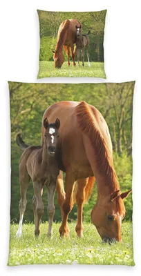 Immagine prodotto di Cavallo da monta con puledro Biancheria da letto con abbottonatura / con bottoni 80/80+135/200 cm