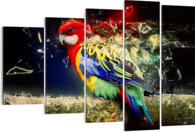 Produktbild von Bild auf Leinwand - Leinwandbild - Papagei Vogel Feder - 150x100cm - Wand Bild - Wanddeko - Leinwanddruck - Bilder - Kunstdruck - Wanddekoration - Leinwand bilder - Wandkunst - EG150x100-3682