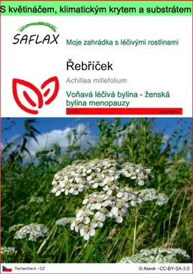 Obrázek produktu pro SAFLAX Garden to go - řebříček - Achillea millefolium - 200 Semena - S květináčem, klimatickou poklicí a pěstebním substrátem