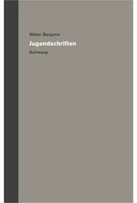 Immagine prodotto di Werke und Nachlaß. Kritische Gesamtausgabe
