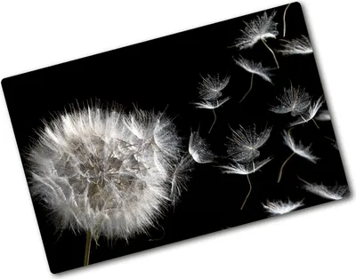 Produktbild von Tulup Glas Herdabdeckplatte - 80x52 cm - Glaskeramikkochfeld-Abdeckung Spritzschutz Glasabdeckplatte - Einteilig - Blumen & Pflanzen - Pusteblume - Schwarz