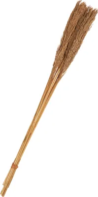 Produktbild von Trockenblumen "Sanmuga Grass", L ca. 80 cm Braun