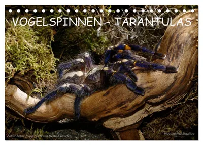 Produktbild von Vogelspinnen - Tarantulas (Tischkalender 2027 DIN A5 quer), CALVENDO Monatskalender