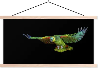 Produktbild von MuchoWow® Textilposter Papagei - Vogel - Federn 120x60 cm mit holzfarbenen Rahmen - Klemmleiste