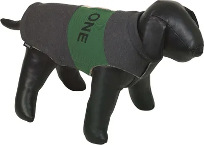 Zdjęcie produktu dla Sweter dla psa Nobby „The One” w kolorze szarym/zielonym, rozmiar: 36 cm