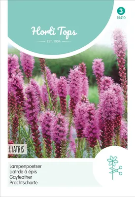 Produktbild von Prachtscharte Lila Rosa | Blumensamen von Hortitops