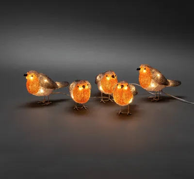 Productafbeelding van Lichtsnoer LED 5 vogels herfstkleuren Konstsmide