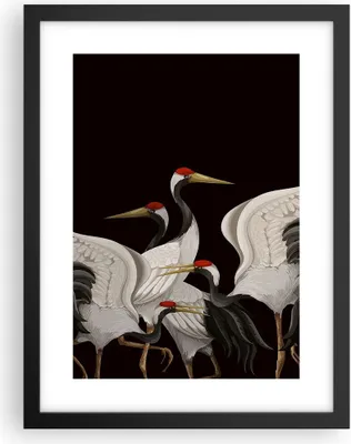 Produktbild von Gerahmtes Poster - Schwarzer Rahmen - Kraniche Vögel Grafiken - 30x40 cm - Wand Bild - Wanddeko - Wandbilder - Kunstposter - Wandposter - Bilderrahmen - Bilder - Kunstdruck - P2BPA30x40-4748
