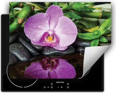 Produktbild von DarHaus Herdabdeckplatte 70x52 cm Anti Rutsch Matte Aufrollbar, Orchidee - Blume