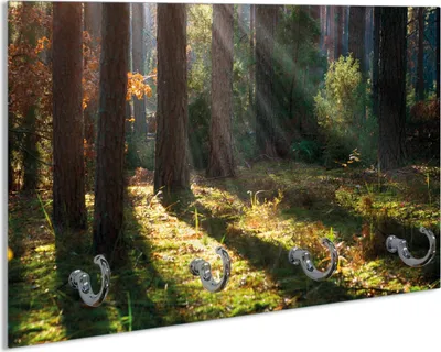 Produktbild von Wallario Handtuchhalter aus Glas, Motiv: Sonnenstrahlen im Herbstwald, 30 x 20 cm mit 4 Haken