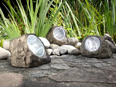 Three solar-powered rock lights are placed on a stone pathway in a garden setting, with tall green plants in the background.