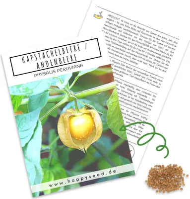 Produktbild von Physalis Samen (Physalis peruviana) - Exotische Kapstachelbeere Andenbeere ideal für die Anzucht im Garten, Balkon oder Terrasse