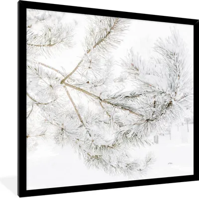 Produktbild von MuchoWow® Gerahmtes Poster Winter - Äste - Schnee 40x40 cm - Poster mit Schwarzem Bilderrahmen Wandposter Rahmen Foto Bilder - Mit Rahmen - Wanddekoration Schlafzimmer