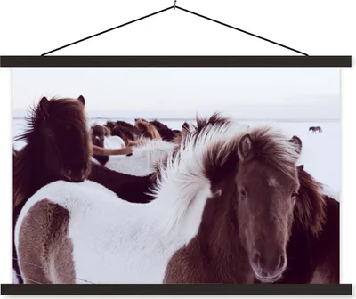 Produktbild von MuchoWow® Textilposter Pferde - Schnee - Island 60x40 cm mit schwarzem Rahmen - Hölzernes