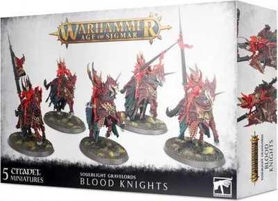 Zdjęcie produktu dla W-AOS: Soulblight Gravelords - Black Knights (5 figurek)