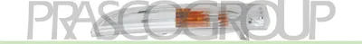Produktbild von PRASCO VG6204314 Blinker Blinkleuchte vorne Links für VW Passat CC (357)