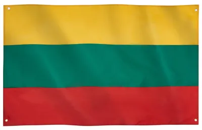 Productafbeelding van Litouwse Vlag, 91x152 cm, met 4 Oogjes, Polyester, Binnen en Buiten Gebruik