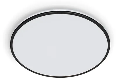 Productafbeelding van Philips Functionele Plafondlamp Ozziet, 22 W, LED, Niet vervangbare lampen, 2700 K, 2300 lm, IP20, Zwart