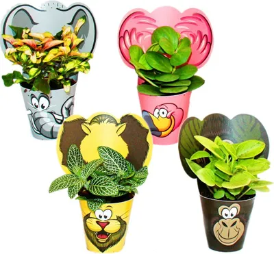 Image de Exotenherz - ensemble de plantes d'intérieur amusantes "Animaux" - 4 plantes avec des animaux - idéal comme cadeau pour les anniversaires d'enfants