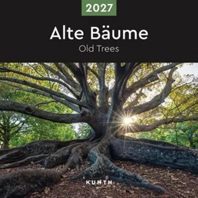 Produktbild von Alte Bäume - KUNTH Broschurkalender 2027