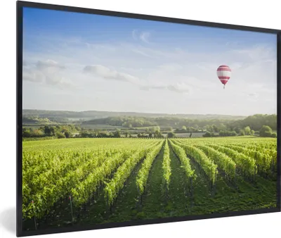 Produktbild von MuchoWow® Gerahmtes Poster Ballon - Traubenpflanze - Licht 30x20 cm - Poster mit Schwarzem Bilderrahmen Wandposter Rahmen Foto Bilder - Kunstdruck - Bild-Poster