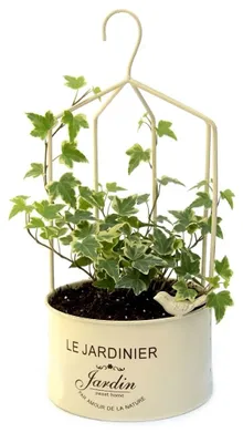 Imagen del producto de Jardinera colgante de metal, diámetro 20 cm