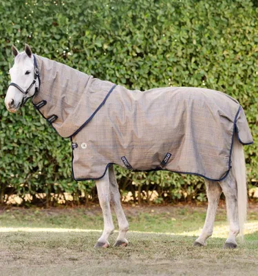 A horse wearing a turnout blanket standing in a grassy area with a hedge in the background.