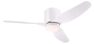 Produktbild von Deckenventilator mit LED Beleuchtung und Fernbedienung Carla 117 cm
