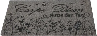 Produktbild von Bestlivings Fußmatte Kokos Schuhabtreter Frontmatte 25x50cm ( Carpe Diem )