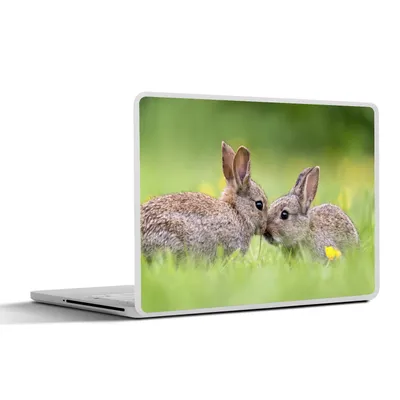 Produktbild von MuchoWow® Laptop Aufkleber Sticker Cover Kaninchen - Baby - Gras 36.5x27.5 cm - Laptop-Sticker