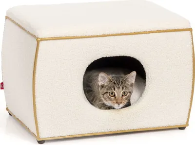 Produktbild von Katzenbett Nelson · Design- Katzenhöhle · TEDDY weiß-gold