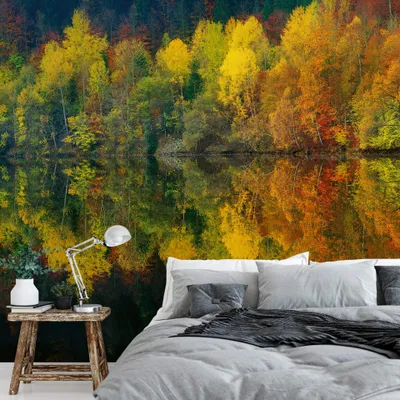 Produktbild von A.S. Création Vlies Fototapete See Autumn Forest Lake DD118913 Wald Tapete