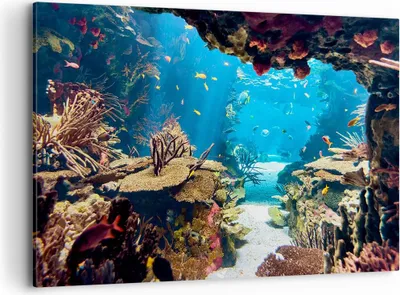Produktbild von Bild auf Leinwand - Leinwandbild - Ozean Riff Fische Koralle - 120x80cm - Wand Bild - Wanddeko - Leinwanddruck - Bilder - Kunstdruck - Wanddekoration - Leinwand bilder - Wandkunst - AA120x80-2872
