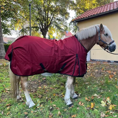 Productafbeelding van Paard Regendeken - Outdoor Deken - Paard Beschermen - Wind- en Waterdicht - 135 cm - Rood