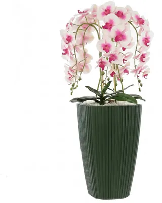 Image de Bouquet d'orchidées artificielles Cremerosa en cascade, en pot vert, H 95 cm, fleurs en caoutchouc, 5 tiges. Décoration pour le bureau à domicile. Joli et élégant.