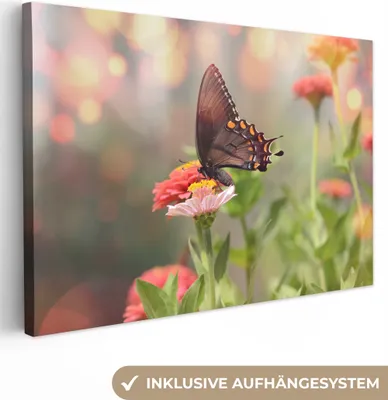 Zdjęcie produktu dla MuchoWow® - Obraz na płótnie - Kwiaty - Motyl - Natura - Kwiat, fototapeta, dekoracja ścienna, obrazy do salonu, 60x40cm