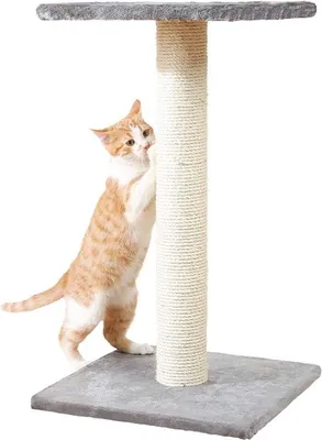 Produktbild von Kletterstation für Katzen, stabiler Aufstiegstrampolin mit Katzenhängematte und Schlafplatz für Haustiere