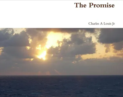 Produktbild von The Promise