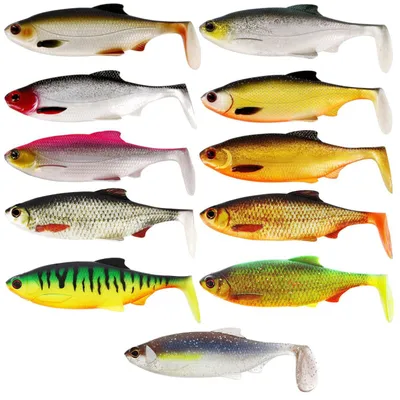 Produktbild von Westin Ricky the Roach 10cm 14g Shadtail - 2 Gummifische, Farbe:Real Rudd