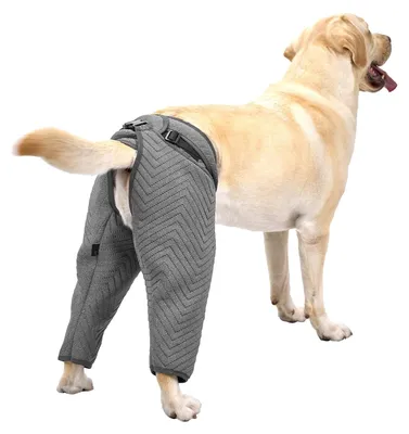 Hunde-Hinterbein-Schutzärmel, verstellbar, XXL, grau