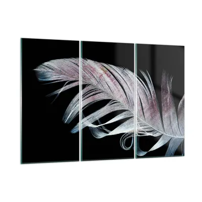 Produktbild von Bilder auf glas - 3 Teile - Feder die Farben Zartheit - 105x70cm - Glasbilder - Wandbilder - Bilder - zum Aufhängen bereit - Wanddekoration aus Glas - Glas Bilder - Wandbild auf Glas - GCE105x70-4959