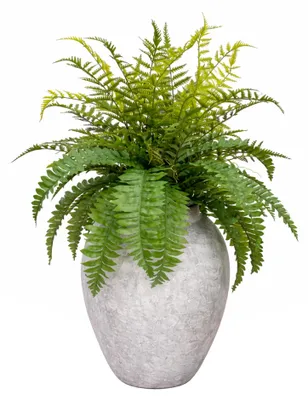 Produktbild von UNUS Kunstpflanze Kunstfarn 84 cm mit Vase Kunstblume Dekopflanze
