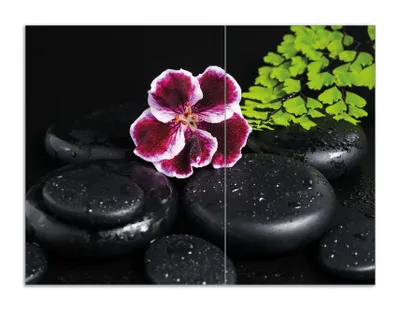 Produktbild von Wallario Herdabdeckplatte aus Glas, Größe 70 x 52 cm 2-teilig, Motiv Geranienblüte auf schwarzen Steinen, benetzt mit Wassertropfen